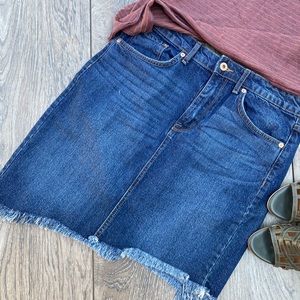 Ella Moss Asymmetrical Raw Hem Denim Skirt